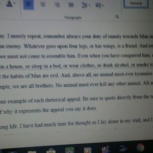 Meet your Posher, Nayeli